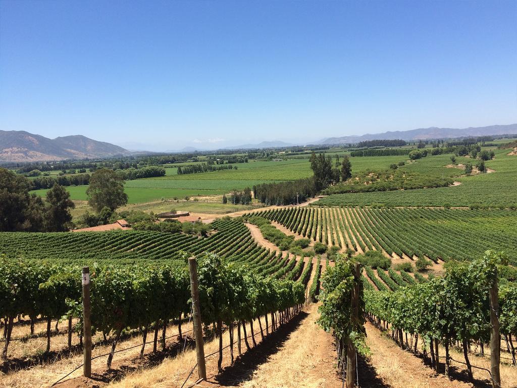 Noi Blend Colchagua Hotel Санта Крус Екстериор снимка