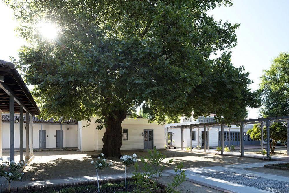 Noi Blend Colchagua Hotel Санта Крус Екстериор снимка